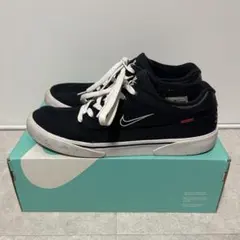 NIKE×Supreme 2015SS SB GTS 29cm
