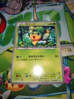 ヤナップ プロモ ブラックコレクション ホワイトコレクション