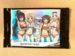 新品未開封 ロングバケーション ファイブクロス インフィニット・ストラトス