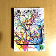 Item thumbnail for item 50029f6c-dbbd-40de-b23b-706ffb465f0b