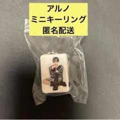 【未開封】ALD1 アルノ ミニキーリング