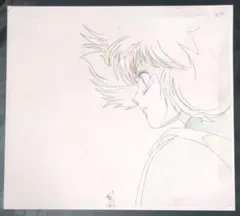 ベルサイユのばら 最終回 アラン 直筆動画用紙1枚 - メルカリ