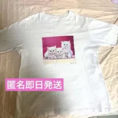 UNIQLO UT 猫 フォトTシャツ ピンク Mサイズ