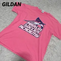 GILDAN ギルダン Tシャツ M ピンク US古着のサムネイル