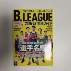 ドイツサッカー・ブンデスリーガ 2010-11 日本人選手激闘録 - メルカリ