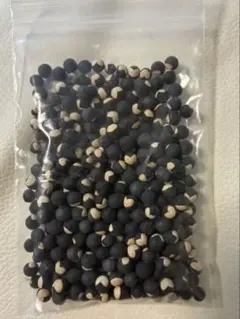 2026年最新】フウセンカズラ 種の人気アイテム - メルカリ