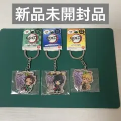 鬼滅の刃 ご当地キーホルダー 竈門炭治郎 冨岡義勇 我妻善逸 足利限定