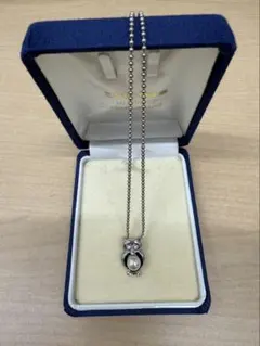 Item thumbnail for item ac8bef70-fb97-4a73-a39b-5f5573bc4645