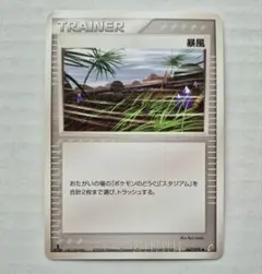 2026年最新】暴風 ポケモンカードの人気アイテム - メルカリ