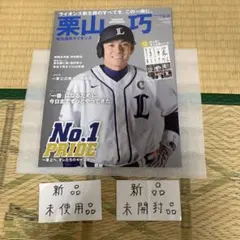 大谷翔平 ノベルティ クリアファイル JA岩手 北海道ファイターズ
