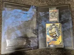 青眼の白龍　郵便局　25周年記念　浮世絵