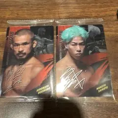 Item thumbnail for item 55f589df-b70e-406b-8706-e2ad6c3a6b67