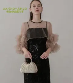 【LEJA】フラワースパンコールチュールフリルスリーブIラインワンピースドレス