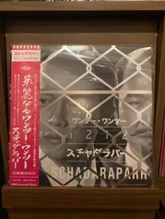 スチャダラパーのテーマ PT.2 12インチレコード 【再生確認済】希少レア盤 最終値下【激レア盤】スチャダラパーのテーマ PT.2 12インチレコード