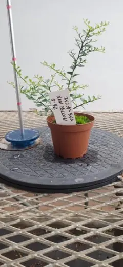 リンゲ様 リクエスト 2点 まとめ商品