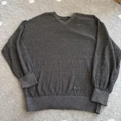 AZUL グレー Vネック セーター FREEサイズ