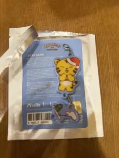 SEVENTEEN MINITEEN POPUP ランダム キーリング ホシ