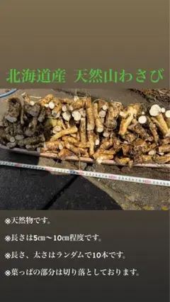 信州浅間山南麓産】天然 花わさび 250g超え - メルカリ