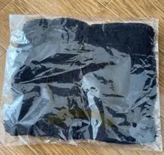 Item thumbnail for item 2572d469-8e4f-47da-8c8e-5f5a74138851