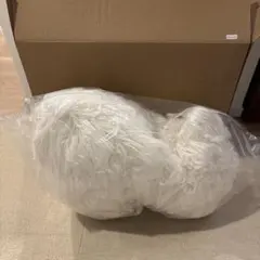 トリミング練習用　犬模型　ホワイト