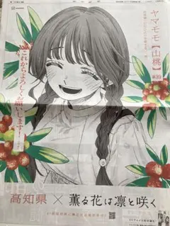 【超希少】薫る花は凛と咲く 和栗薫子 朝日新聞 全面広告 高知県版