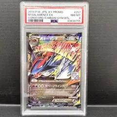 MボーマンダEX：メガボーマンダジムバトル PROMO XYシリーズプロモーシ