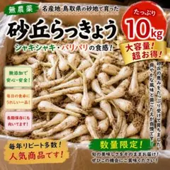 Ruru様専用】鹿児島県産砂丘らっきょう 14kg - メルカリ