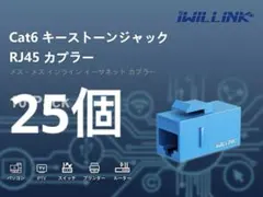 RJ45 Cat6 キーストーンカプラー LAN ケーブル用 中継 コネクタ