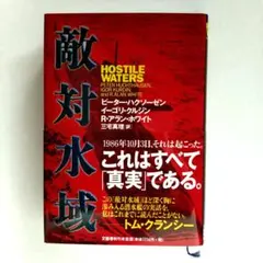 敵対水域