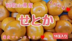 2026年最新】みかんキングの人気アイテム - メルカリ