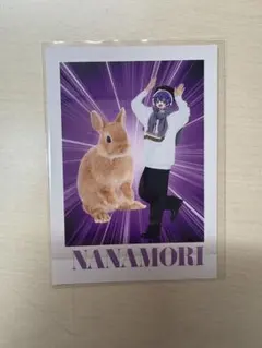 私立すとぷり小学校 生写真カードななもり。　コロコロコミック 5月号