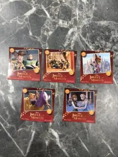 Joyful Moments ディズニーステッカー　5枚セット