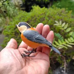 メジロ バードカービング 野鳥彫刻 木彫りの野鳥 - メルカリ