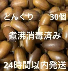 どんぐり　　30個