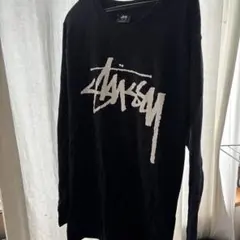 STUSSY ロゴロンT