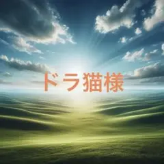 ドラ猫様 IY GRACE/開襟シャツ ブラウス/3L/花柄 5分袖
