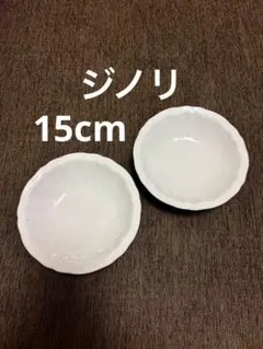 2026年最新】Richard Ginori 食器の人気アイテム - メルカリ