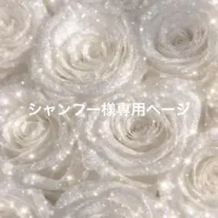 シャンプー様専用ページ