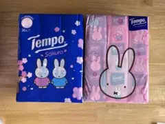 Item thumbnail for item c1419802-fdb8-48c1-9b94-7a16d17d7ed0