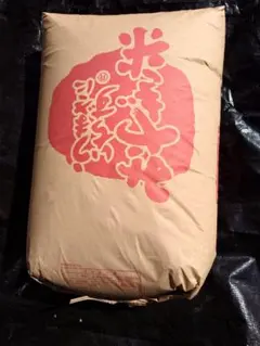 あいがも農法　玄米20kg あいがも農法 玄米20kg - メルカリ