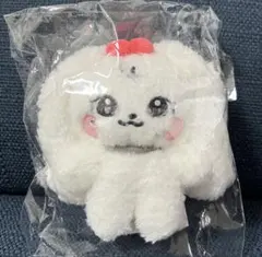 未開封】極美品チェリー ウォニョン ぬいぐるみ - メルカリ