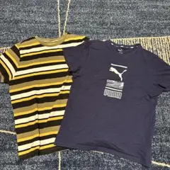 プーマ　Tシャツ　160センチ　2枚セット