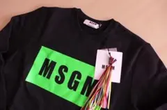 Item thumbnail for item c9615ffe-3fde-49d1-a026-302290a56069