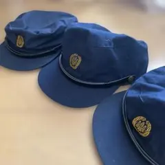 Item thumbnail for item e548fdf1-aa01-4dcf-bbc8-99c509992d93