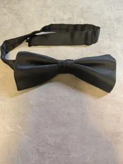 Item thumbnail for item 51ff3d15-3fdf-44be-9fb6-2c61b4a96791