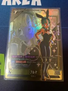 大特価☆早い者勝ち☆ブルマUC☆パラレル