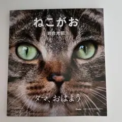 Item thumbnail for item e2173246-acff-499e-9881-5fce63d82690