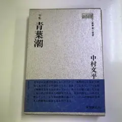 青葉潮 中村文平