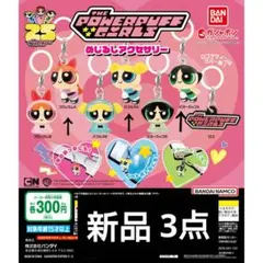 The Powerpuff Girls パワーパフガールズ めじるしアクセサリー