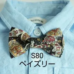蝶ネクタイ S80　Mサイズ